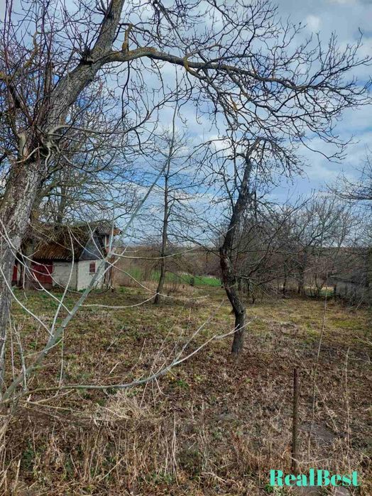 Продаж / Земля  / Дорогобуж