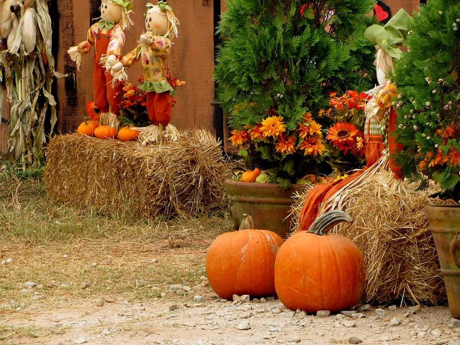 Canon PowerShot SX230 HS - Цифровий фотоапарат