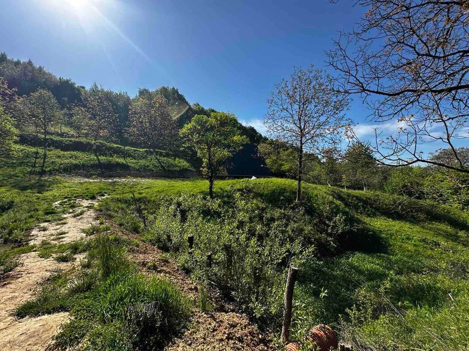 Продається дача в с. Бедевля