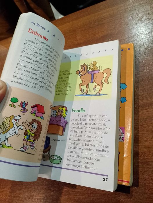 Manual do Bidu e Franjinha 2 unidades