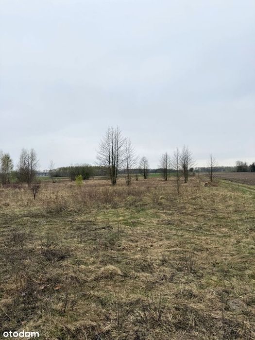 Działka budowlana 3000 m²  w spokojnej wsi Budy Ciepielińskie – pohled 6