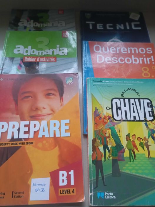 Manuais escolares 8 ano
