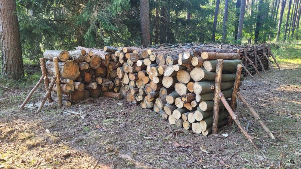 Drewno opałowe suche pocięte lub w całości .