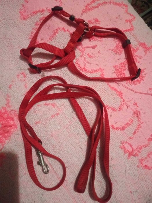 Уздечка с поводком