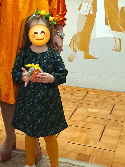 Сукня zara фемелі лук плаття