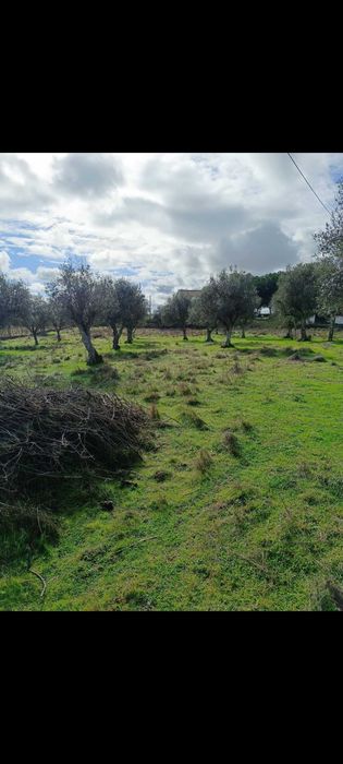 Vende-se terreno rústico