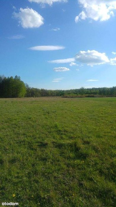 Sprzedam Działkę 11 608 m² z WZ ! pod lasem.