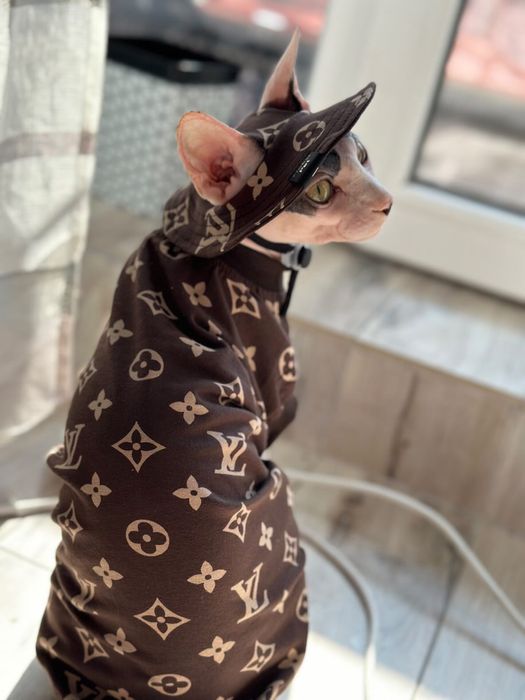 Теплий Одяг для котів сфінкс девон рекс одежда для котов