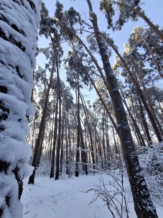 Пррдаж Таунхаусу в лісовій зоні 123м2 з ГАЗОМ!