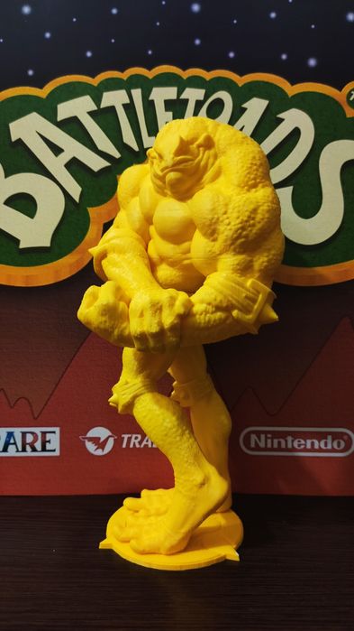 Battletoads Double Dragon Rash Zitz Pimple Dark Queen 20см: 540