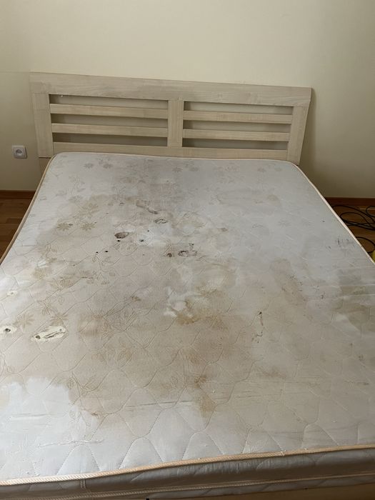 Клінінгова компанія EcoClienberry/Хімчистка/ Дрогобич