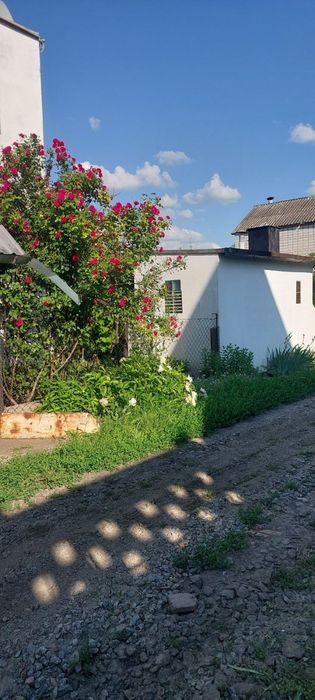 АН ОСЕЛЯ пропонуе дачу в Поронівке