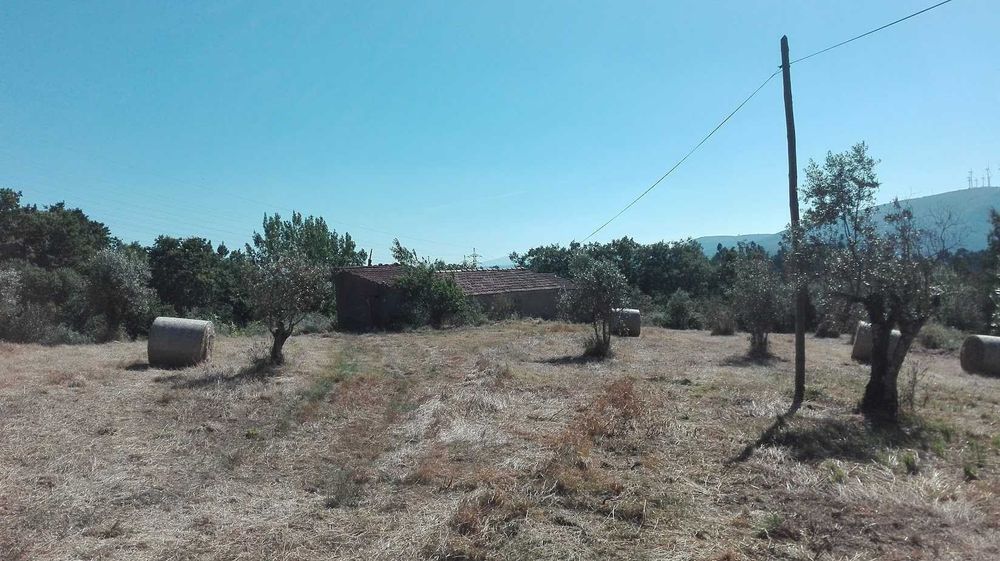 moradia para venda
