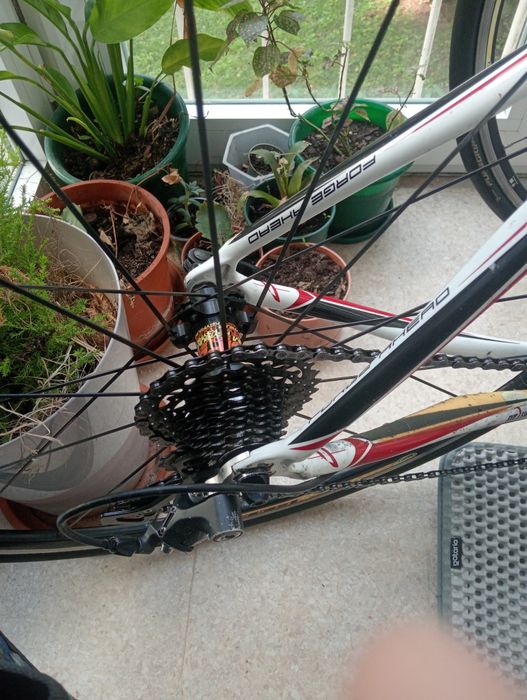 Gigadrive centurion carbono Ultrega 3X10 DT SWISS RR 465