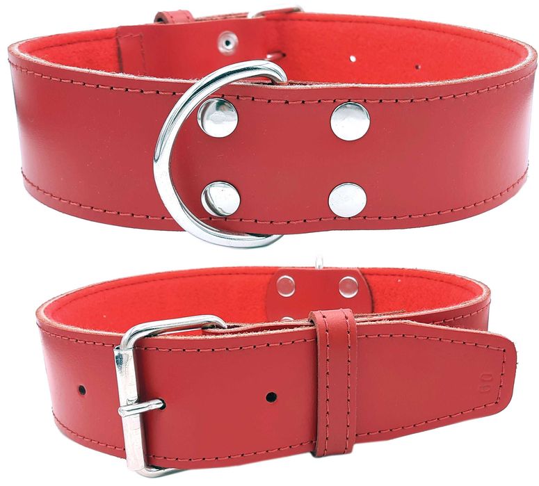 Obroża Dla psa Skórzana Gruba Mocna Skóra Naturalna 5cm/60cm DINO