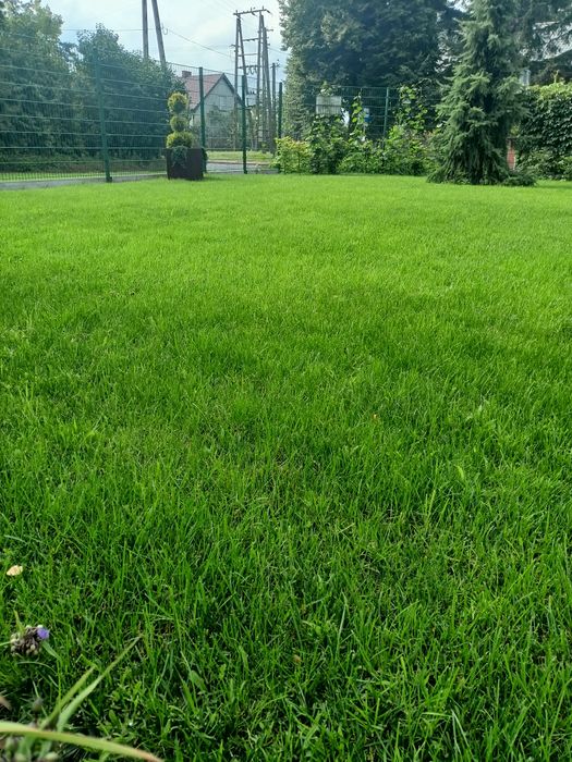 zakładanie ogrodów,nawadnianie.glebogryzarka separacyjna.