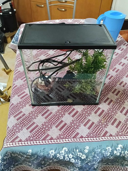 Aquário 18 litros com tudo incluído