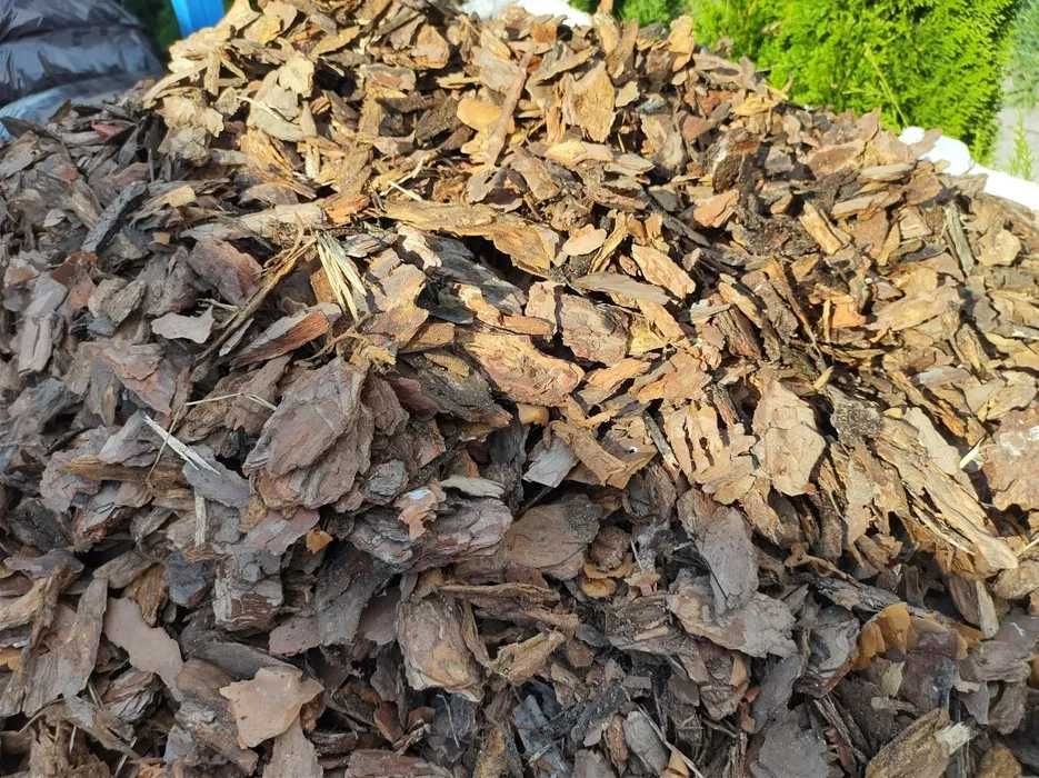 Kora Sosnowa Sortowana Damgreen Producent Podłoży Ogrodniczych