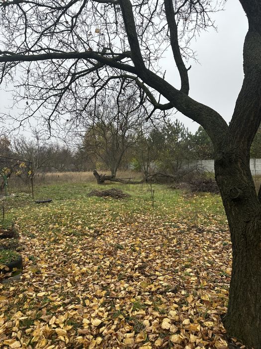 Продам дом в Куриловке