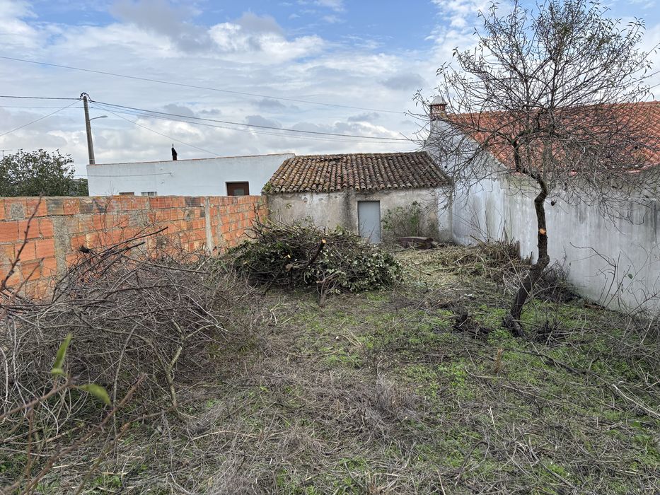 Limpeza de terrenos/quintais