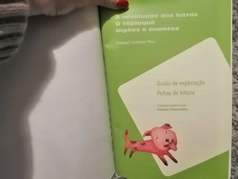 Livros PNL 1 ciclo para o 1º e 2º ano