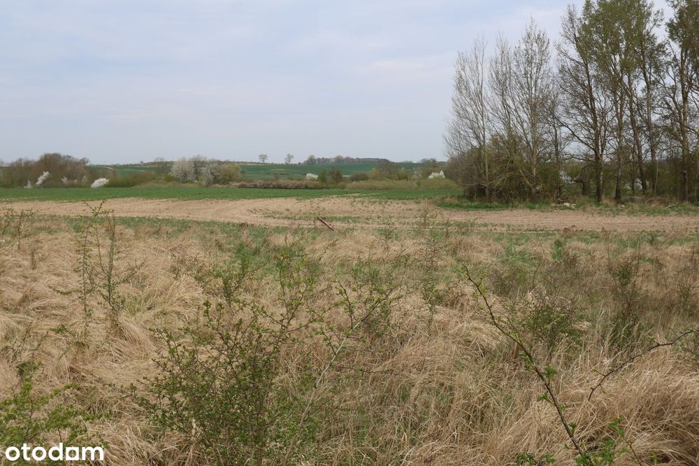Działka z PANORAMĄ SZCZECINA/ Dzwonić w godz.8-22, także w weekendy. - View 3