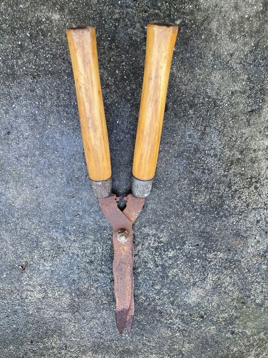 Tesouras cortar arbustos