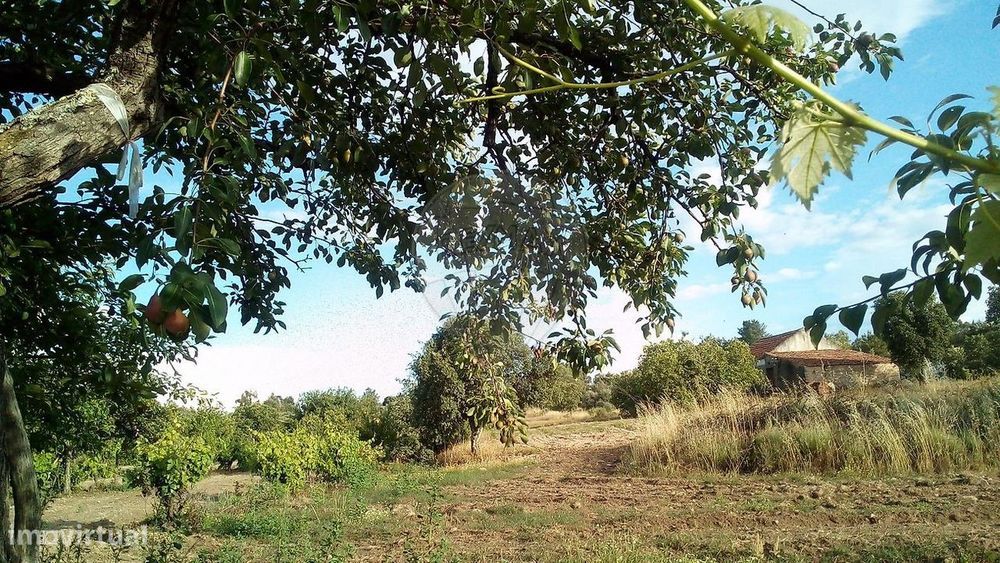 Quinta  para venda