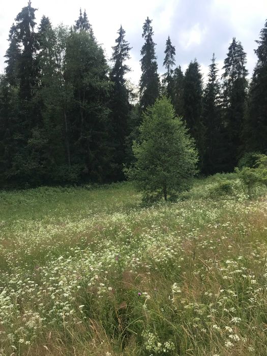 Biały Dunajec działka 776m2