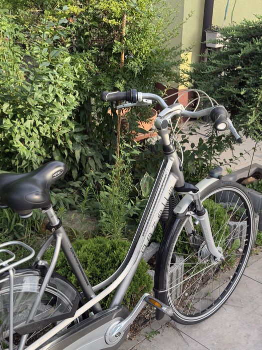 Damka Gazelle Paris Plus H57 Holenderski