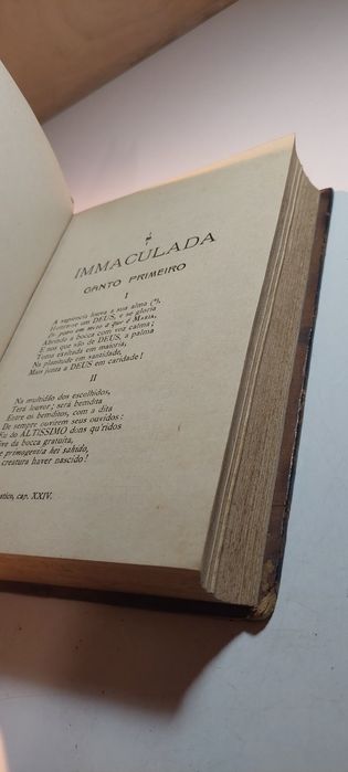 Immaculada, Poema Epico e Lyrico sob o Patrocinio de Jesus, Maria e José  (1922)