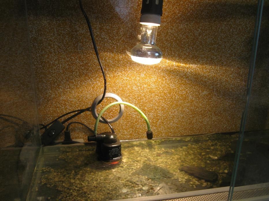 Sprzedam terrarium.