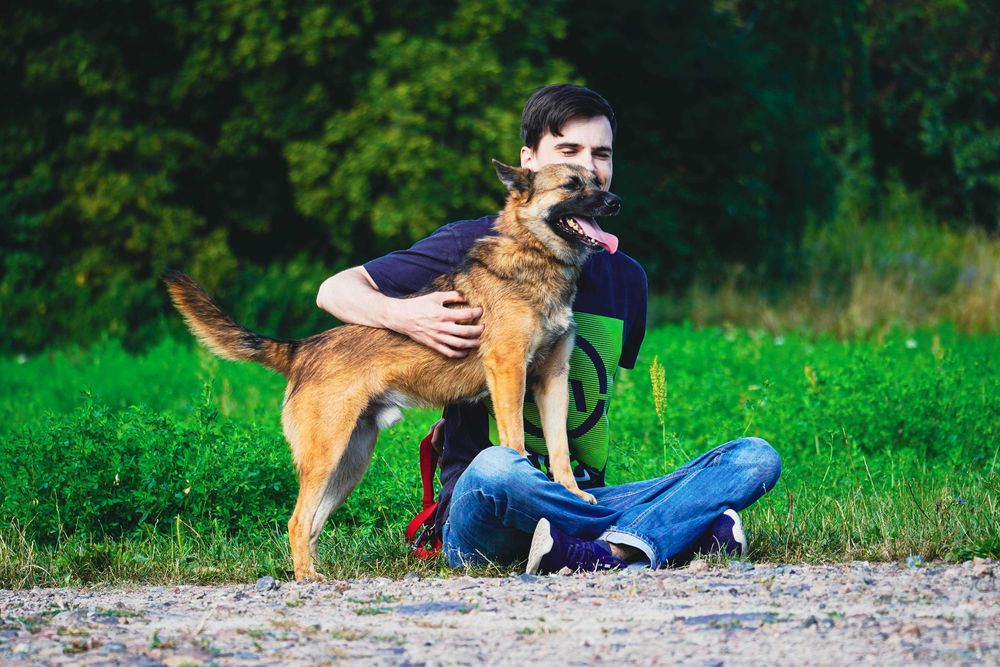 Dan - mega rewelacyjny pies