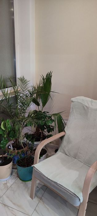 Продам однокімнатну квартиру в центрі Вишневого