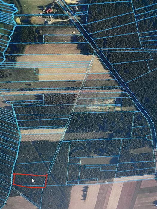 REZERWACJA Sprzedam las sosnowy