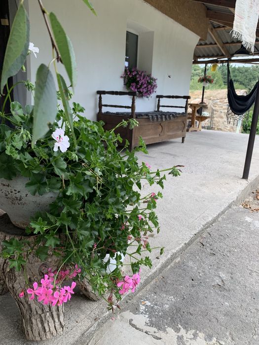 Оренда будинку помісячно, подобово