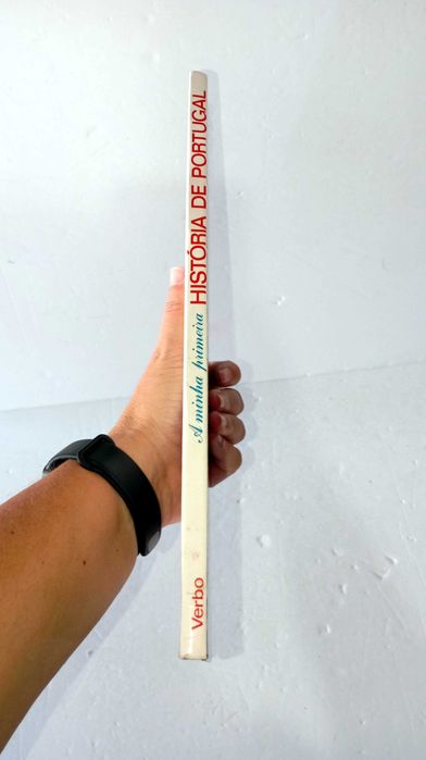 A Minha primeira História de Portugal - Verbo