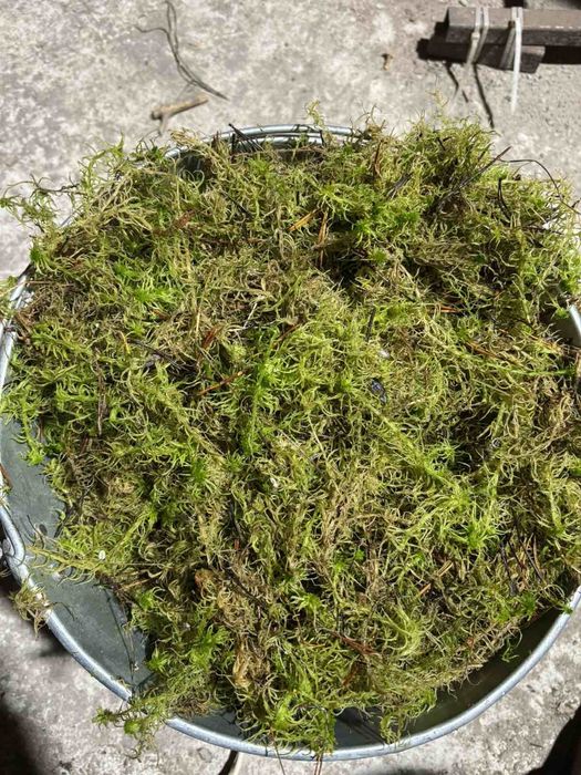 Кора галтована для орхідей та вазонів