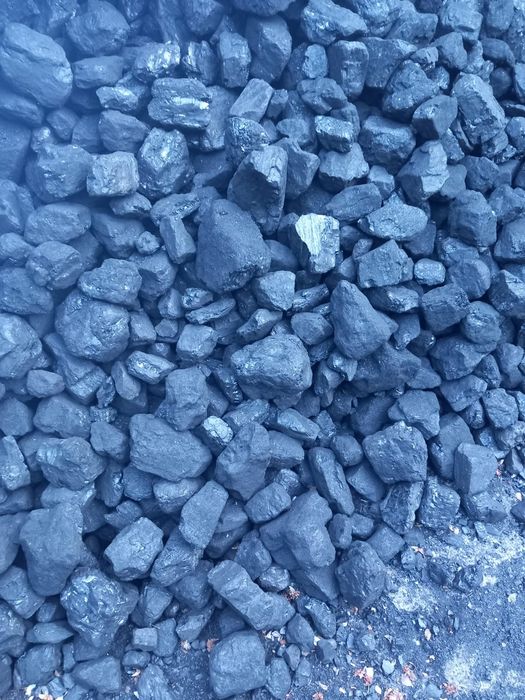 Miał  groszek , węgiel