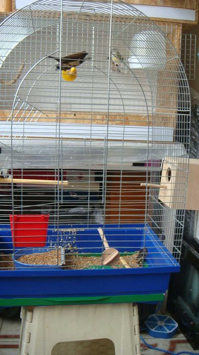Клетка для Японских Амадин