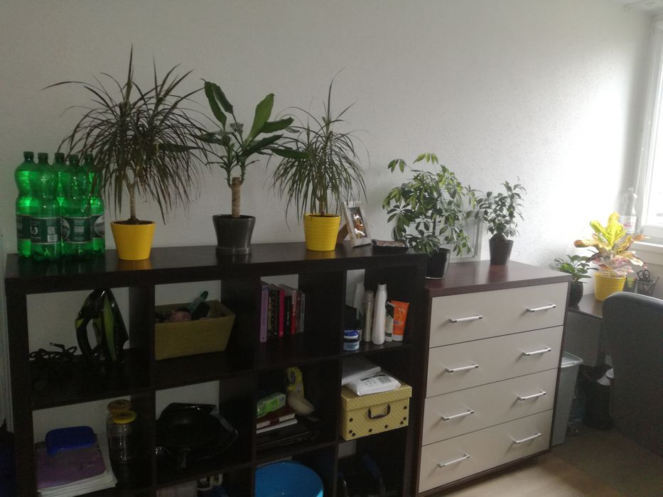Na wynajem duże mieszkanie ul. Wesoła okolice Aquaparku | bezpośrednio| 70m2