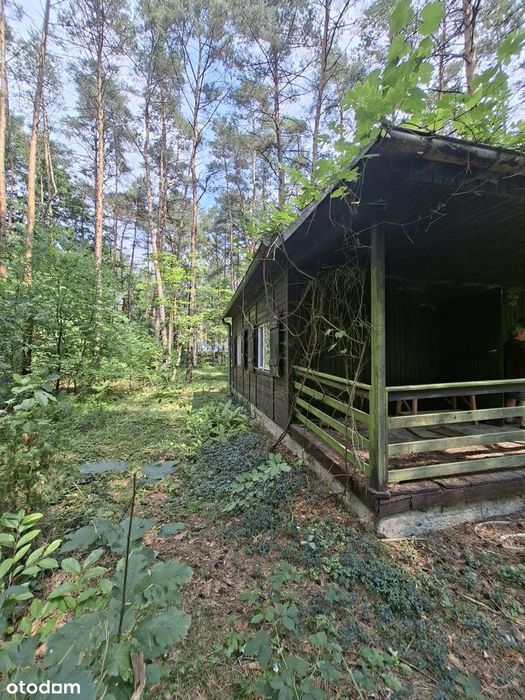Dom 43 m2 na działce o pow 1690 m2 w Rosanowie.