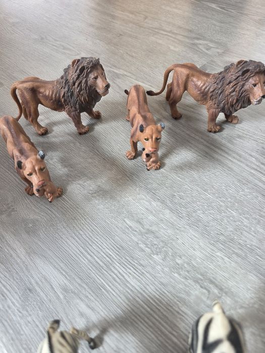 Animais selvagens e animais da quinta