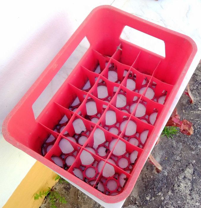 Coca-Cola caixa grade vintage - 24 garrafas