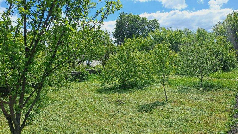 Продається  будинок село Курінь, Чернігівська область