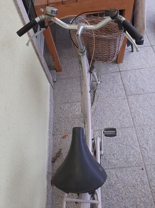 Bicicleta pasteleira