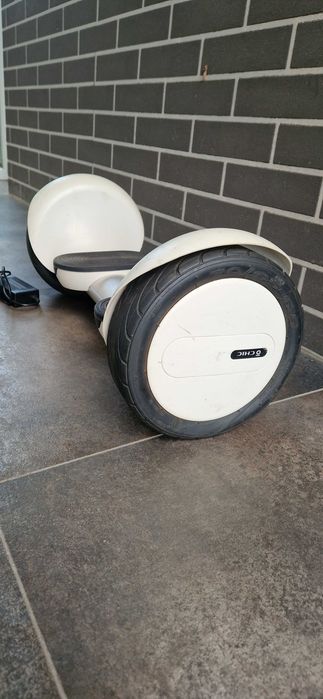 Hoverboard Forever Chic PI-MAX 10"