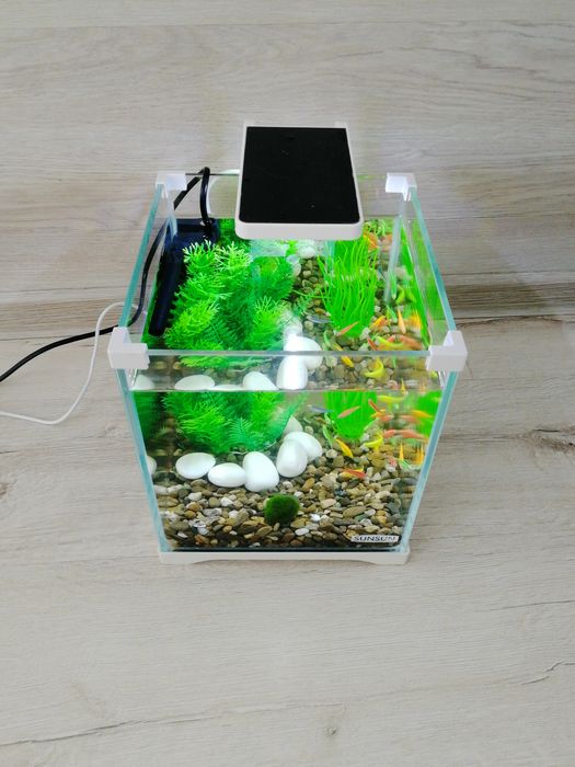 Акваріумний комплект з рибками 10л | Все включено | Доставка по Києву