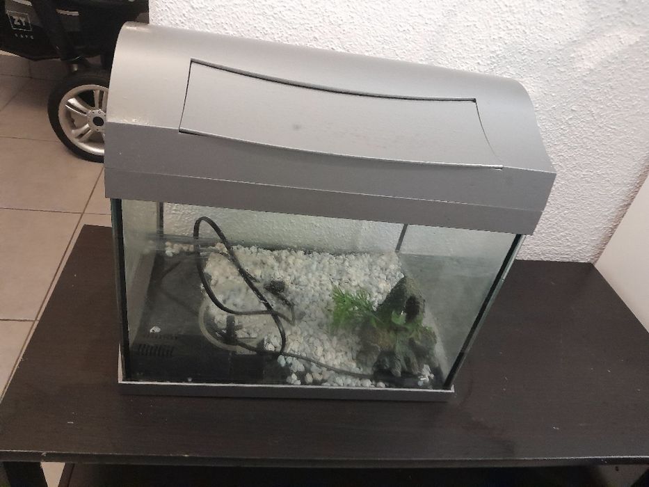 Aquário de peixes