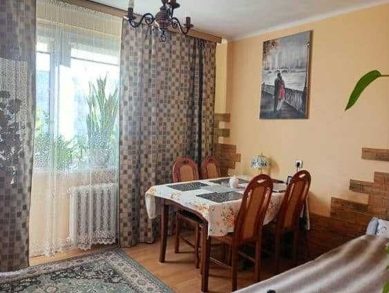 kawalerka jagielońska